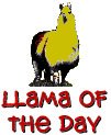 llama!